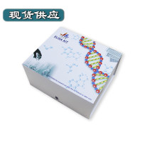 抗DNA酶B抗体检测试剂盒（ELISA） 开学促销