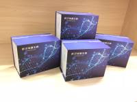 豚鼠转化生长因子β1(TGF-β1)ELISA试剂盒