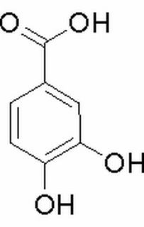 原儿茶酸(3,4-二羟基苯甲酸) CAS:99-50-3