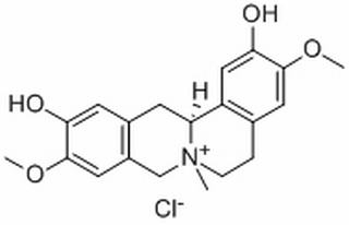 盐酸黄柏碱 CAS:104112-82-5