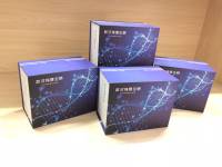 裸鼠肿瘤坏死因子可溶性受体Ⅰ(TNFsR-Ⅰ)ELISA试剂盒
