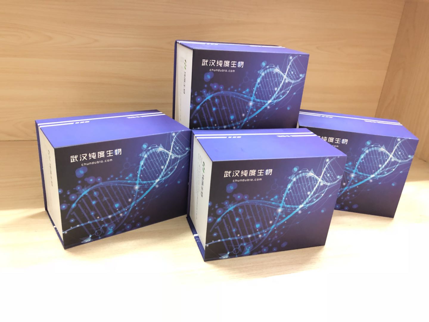 裸鼠纤维蛋白原(Fbg)ELISA试剂盒