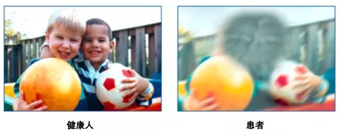 震惊！数据说话，哈佛科学家发现用错了抗体得到完全相反结论！