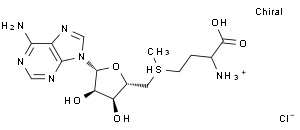 S-(5'-腺苷基)-L-氯化蛋氨酸HPLC≥98%