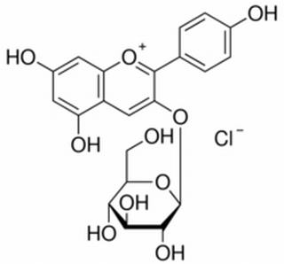 天竺葵素-3-氯化葡萄糖苷HPLC≥95%
