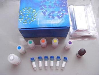 小鼠内皮抑素(ES)ELISA检测试剂盒
