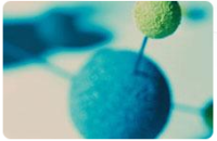 H1N1 Neuraminidase Antibody