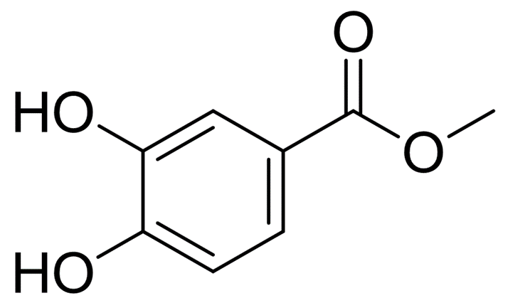 3,4-二羟基苯甲酸甲酯HPLC≥98%