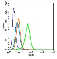 CD11a整合素αL抗体