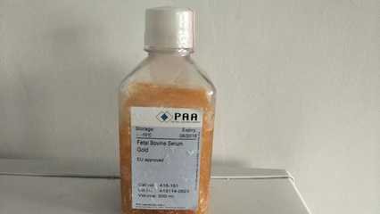 PAA A15-151胎牛血清供应