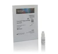 ProLong™ Glass Antifade Mountant 抗淬灭封片剂