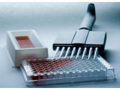 马生长激素GH elisa检测试剂盒使用说明