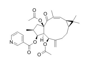 大戟因子L8 HPLC≥95%
