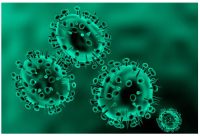 甲基化多聚腺苷酸结合蛋白抗体