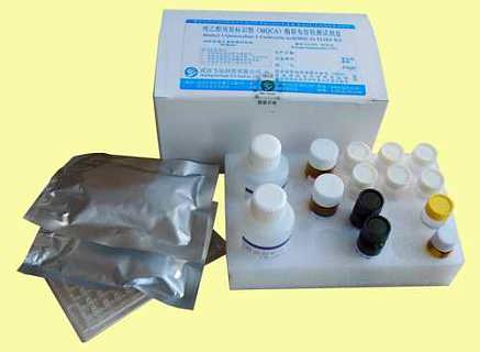 小鼠内皮脂肪酶(EL)检测试剂盒