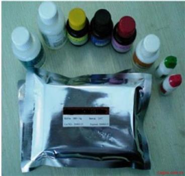 大鼠钙调素CAM检测试剂盒
