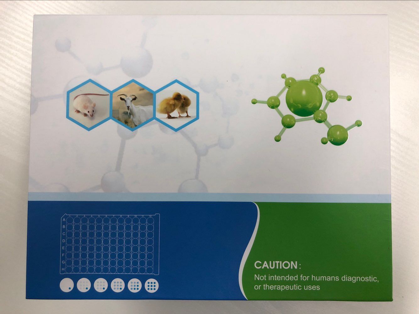 人抗小鼠抗体(HAMA)ELISA试剂盒