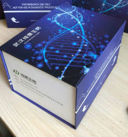 大鼠CD25分子（CD25）ELISA试剂盒