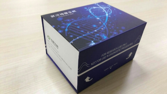 大鼠白细胞介素6（IL-6）ELISA试剂盒