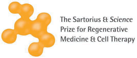 痛苦记忆的治愈力量