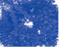 Nickle-NTA Agarose Beads