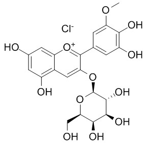 氯化矮牵牛素-3-O-半乳糖苷HPLC≥98%