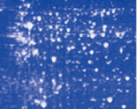 Coomassie Blue G-250 Staining Buffer