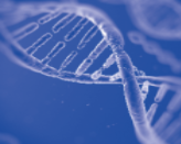 Plant Genomic DNA Extraction Kit