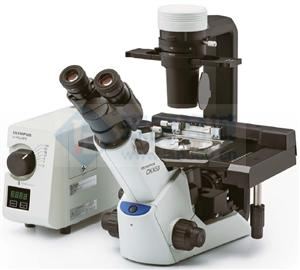 奥林巴斯CKX53 三目倒置生物显微镜
