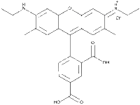 5-Carboxyrhodamine 6G;5-羧基罗丹明6G