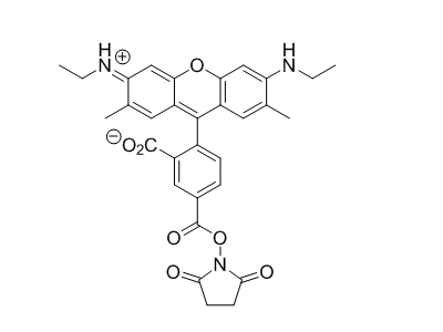 5-CR6G, SE ；5-Carboxyrhodamine 6G, succinimidyl ester；5-羧基罗丹明 6G 琥珀酰亚胺酯