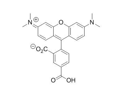 5-羧基四甲基罗丹明；5-Carboxytetramethylrhodamine