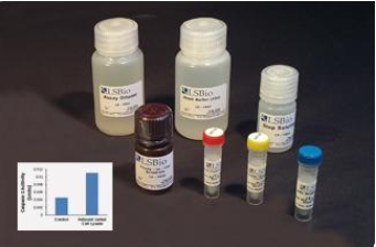 JC-1线粒体膜电位检测试剂盒