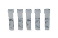 Glyko® Sialic Acid Reference Panel