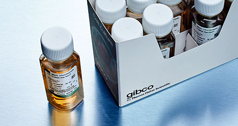 Gibco™ One Shot™ FBS,新西兰来源【大包装】