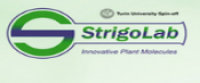 StrigoLab