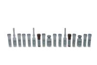 Sialic Acid Quantitation Kit