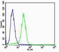Cytokeratin 18细胞角蛋白18抗体
