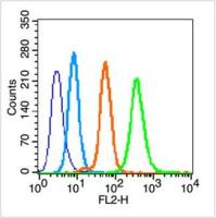 SOD2超氧化物歧化酶2抗体