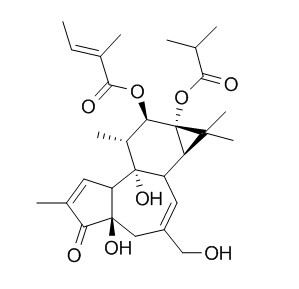 伏波酯-12-惕各酸酯-13-异丁酸酯HPLC≥98%