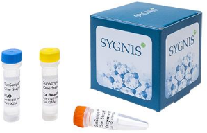 Annexin V-EGFP/PI 双染细胞凋亡检测试剂盒