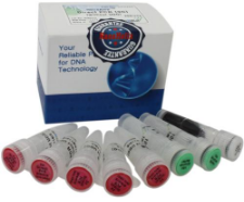 细胞LDH释放检测试剂盒（BB-4860）