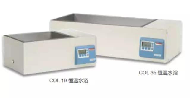 大肠杆菌食物中毒，如何见招拆招？