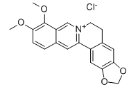 https://img1.dxycdn.com/2018/0724/755/3290796406721732422-22.png