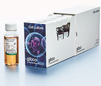 Gibco™ One Shot™ FBS，澳洲来源