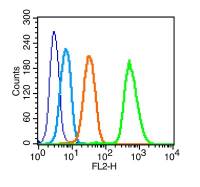 c-Kit/CD117干细胞生长因子受体/细胞表面分化抗原抗体
