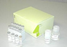 碱性磷酸酶-PAS联合染色液