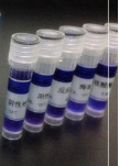 龙胆紫水溶液(0.5%)