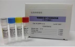 血清钙检测试剂盒
