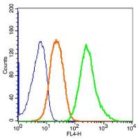 ganglioside GM1神经节苷酯抗体